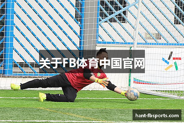 关于FB体育中国官网